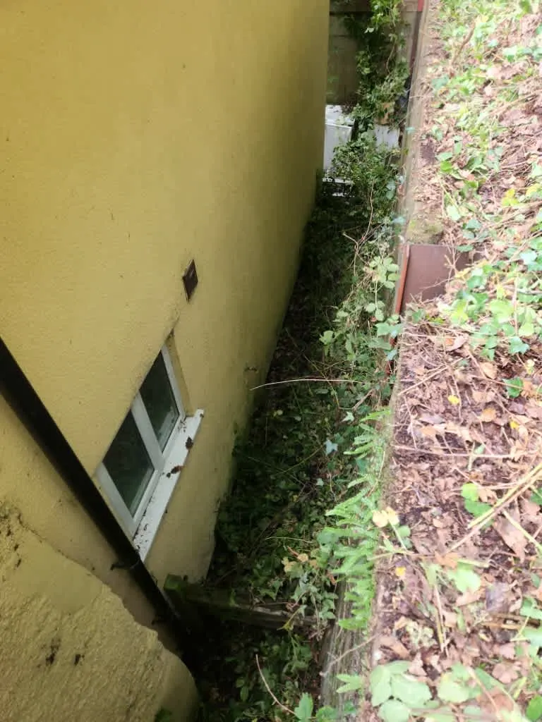 Images Master Moves Man & Van