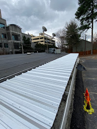 Rhino Commercial Roofing Image