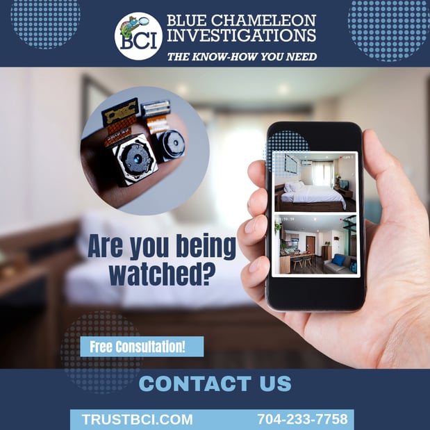 Images Blue Chameleon Investigations