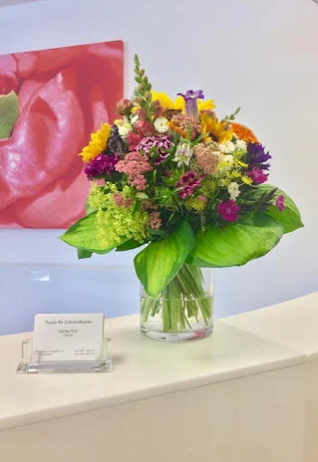 Praxis für Zahnheilkunde Stefan Ertl, Rosenheimer Landstraße 75b in Ottobrunn