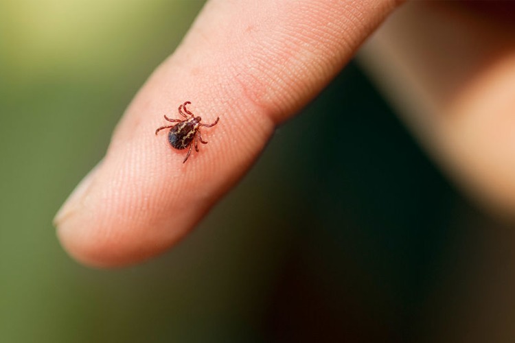 Images Ølen apotek AS