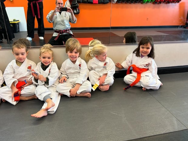 Images SDSS Martial Arts of Greenwich