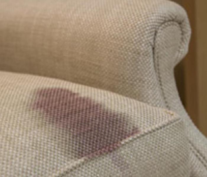 Did You Know that We Also Do Carpet and Upholstery Cleaning?