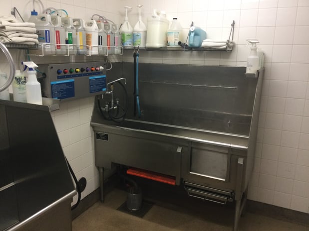 Images Petco Grooming