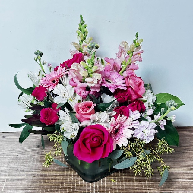 Images Jane's Roses & Flowers