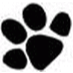 Hundeschule & Hundebetreuung Natur Pfötli Logo