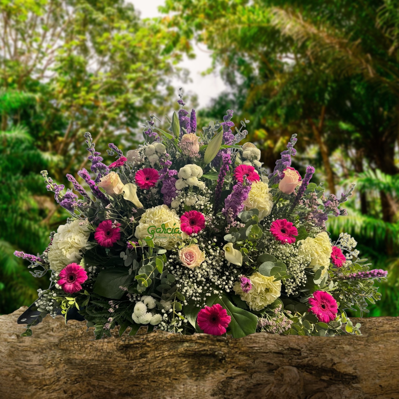 Images Floristas García