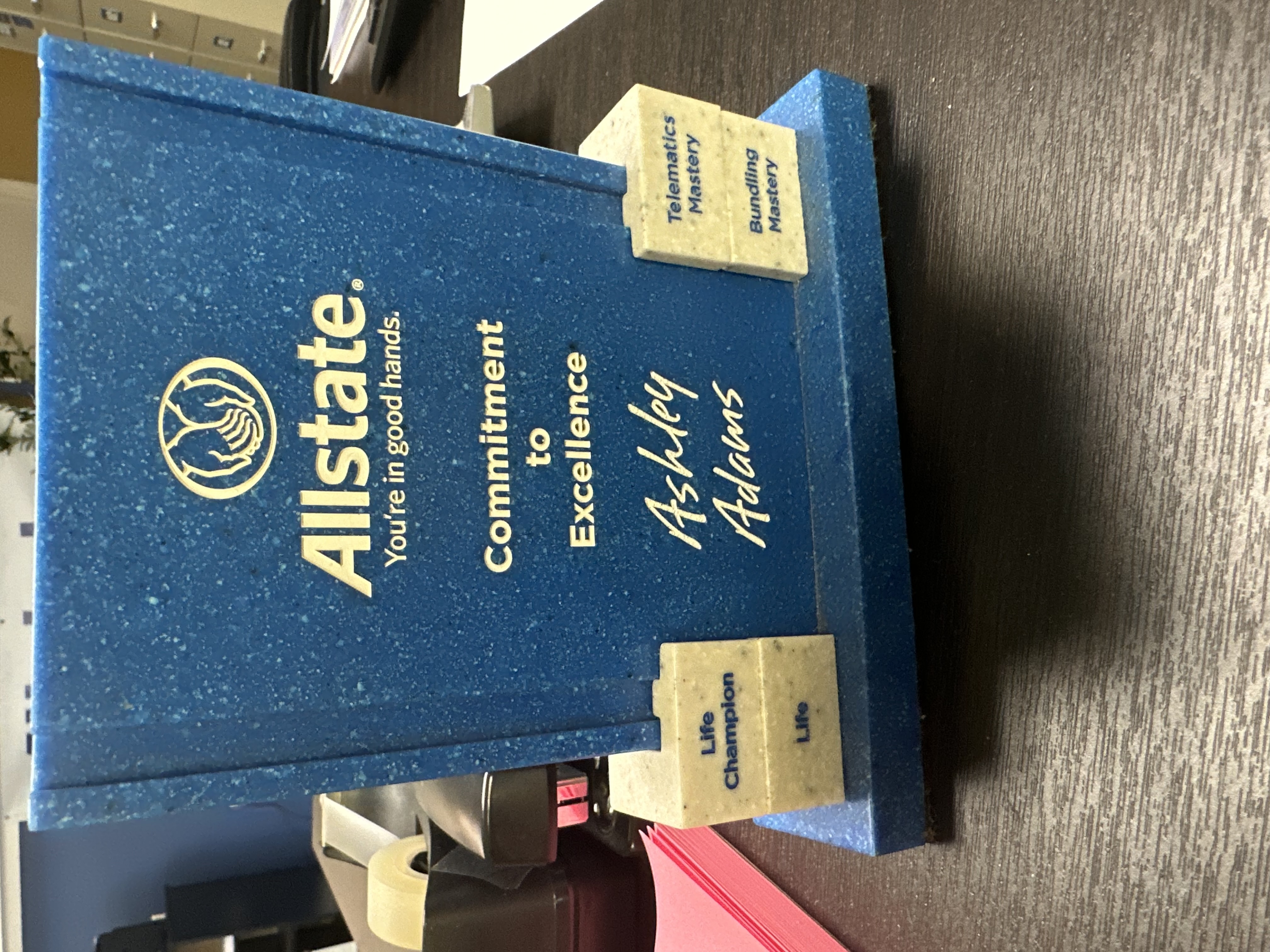 Excellence award recognition for Ashley