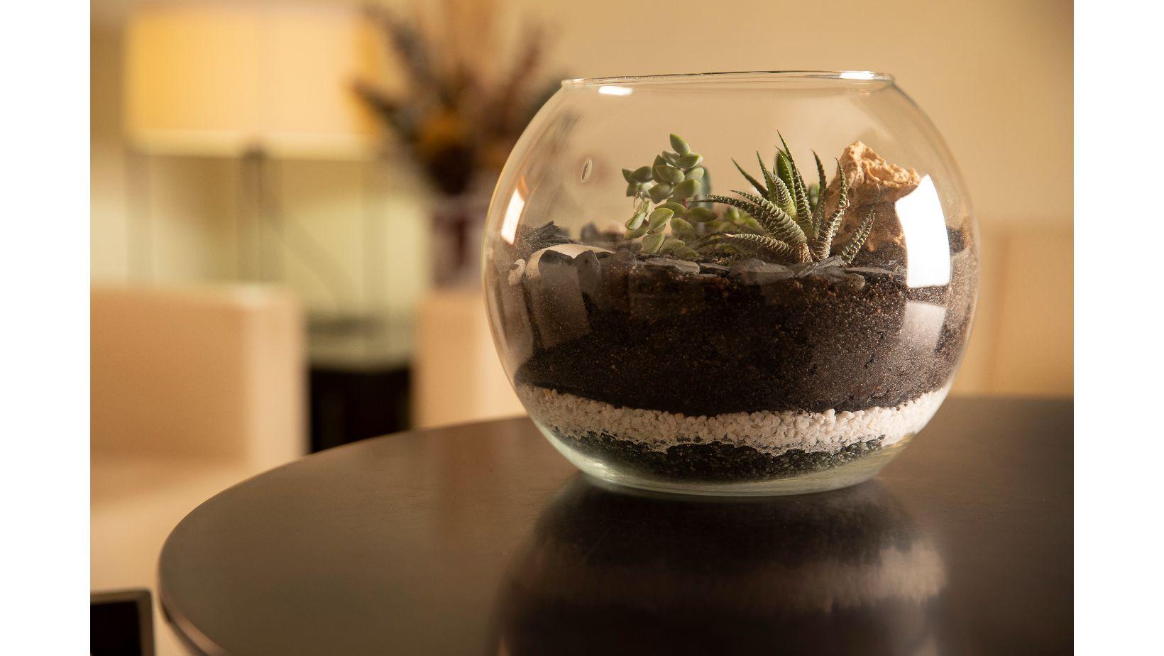 Cementiri Comarcal Roques Blanques 33