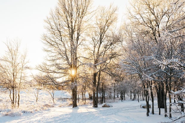 Images A Joy Story Photography