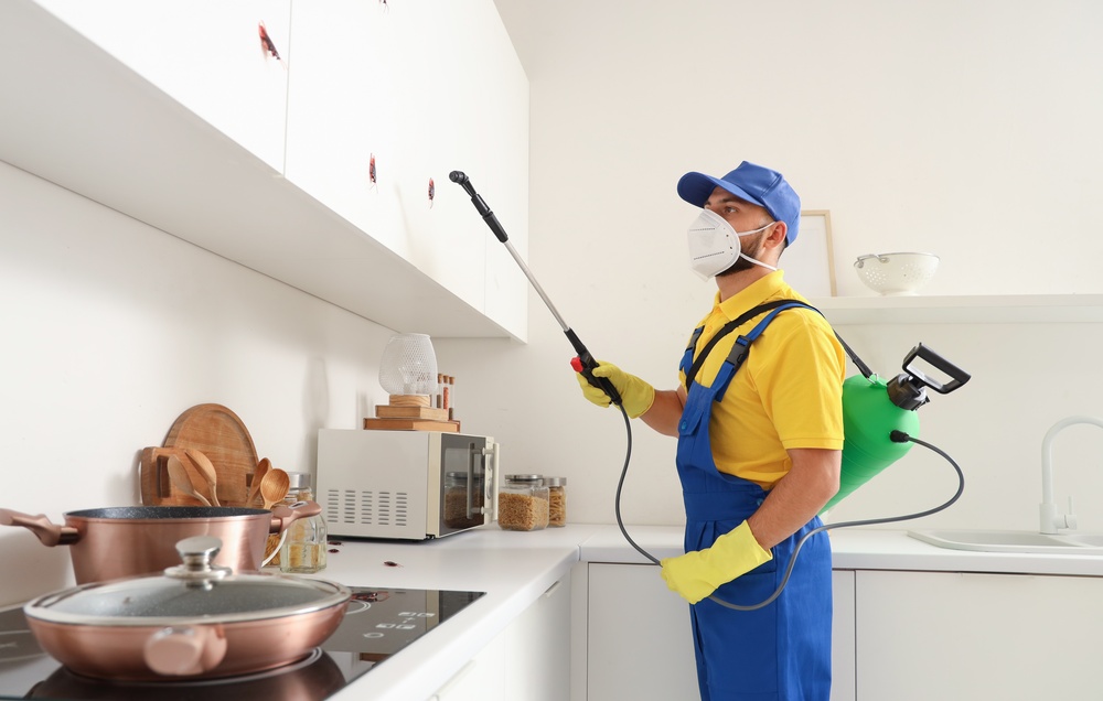 Pest control is often easier to manage when it becomes part of regular home care. Aim Pest Solutions offers residential pest control services designed for consistency in Batavia, Ohio across the Greater Cincinnati area. Choosing an exterminator with flexible service options can help reduce repeat concerns. Call to get started.