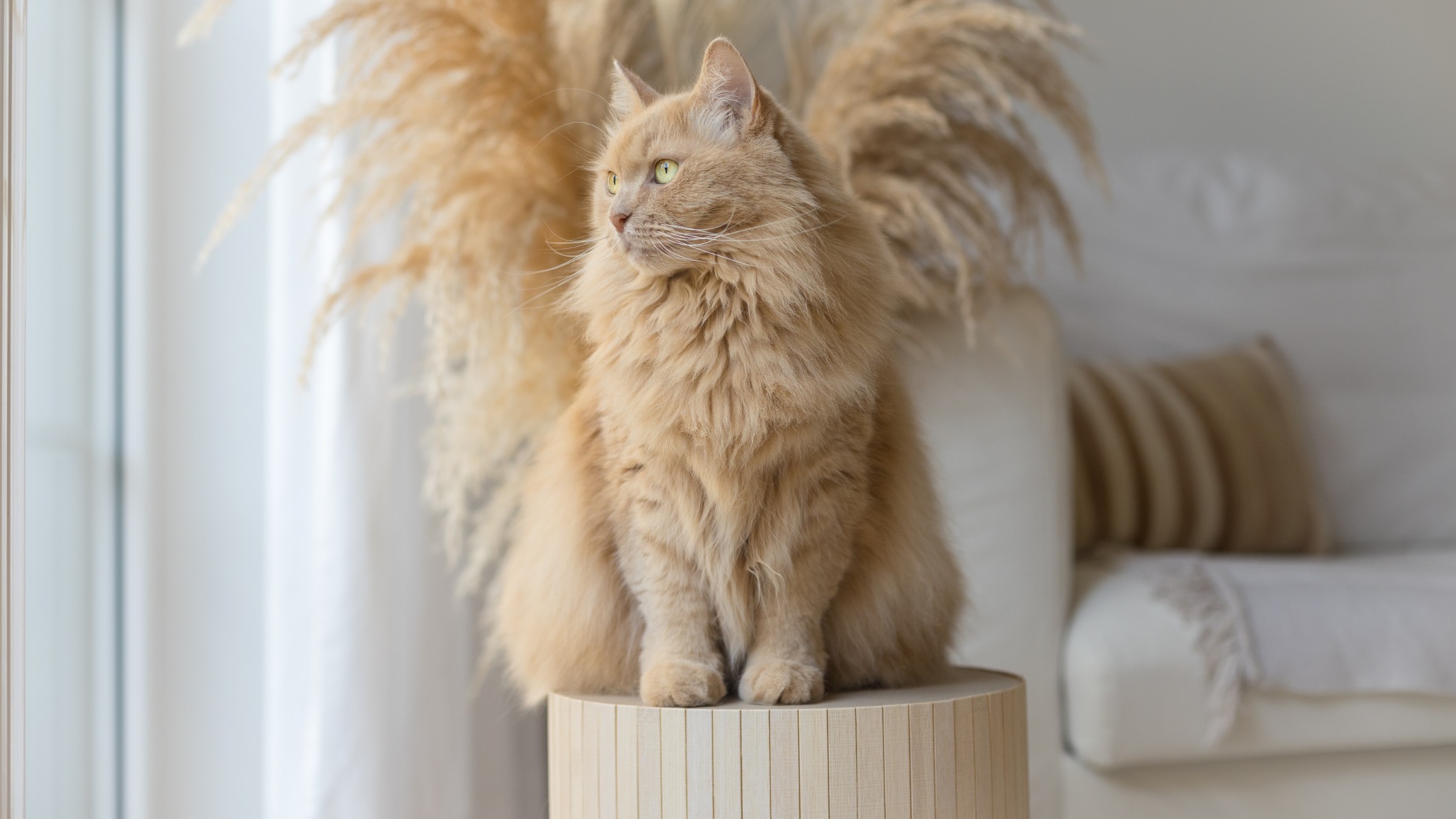 Wood-Kleintiermöbel by Julian Rumpel in Poppenhausen