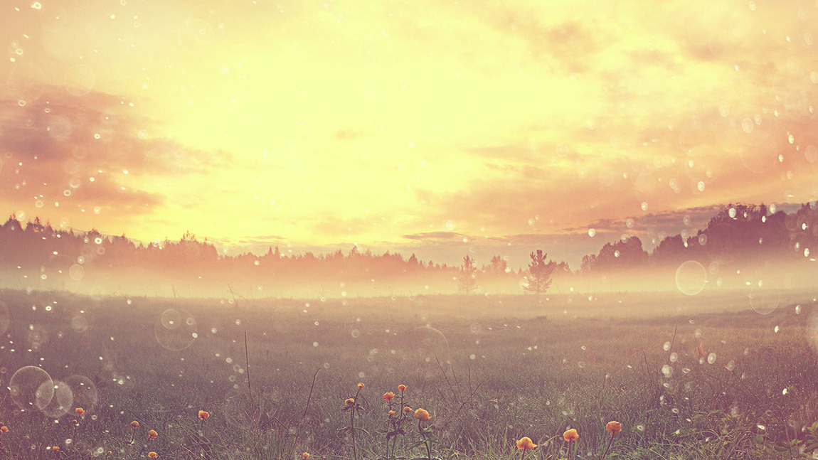 Images Hamar Begravelsesbyrå AS