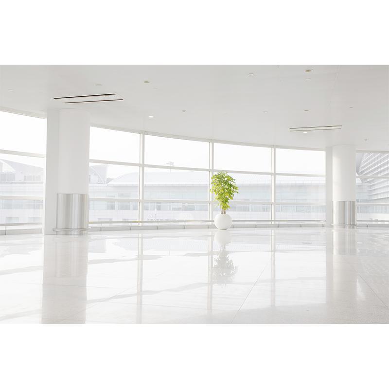 Images Impresa di Pulizia Berardinucci