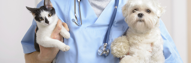 Images Animal Hospital of Central Brevard