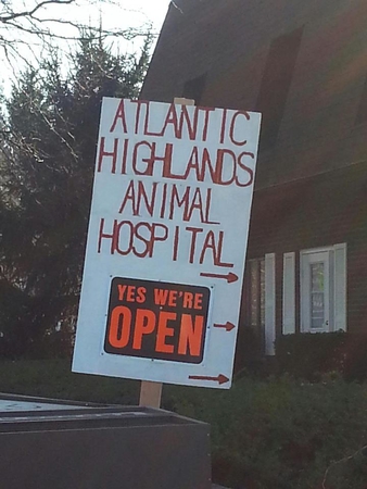 Images Atlantic Highlands Animal Hospital