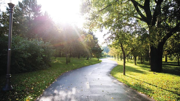 Images The Grove at Dominion Hills