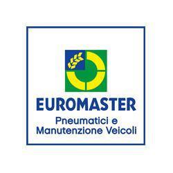 Euromaster Elvis Gomme Logo