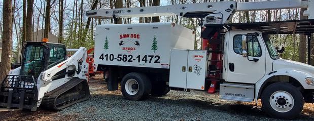 Images Saw Dog Services LLC