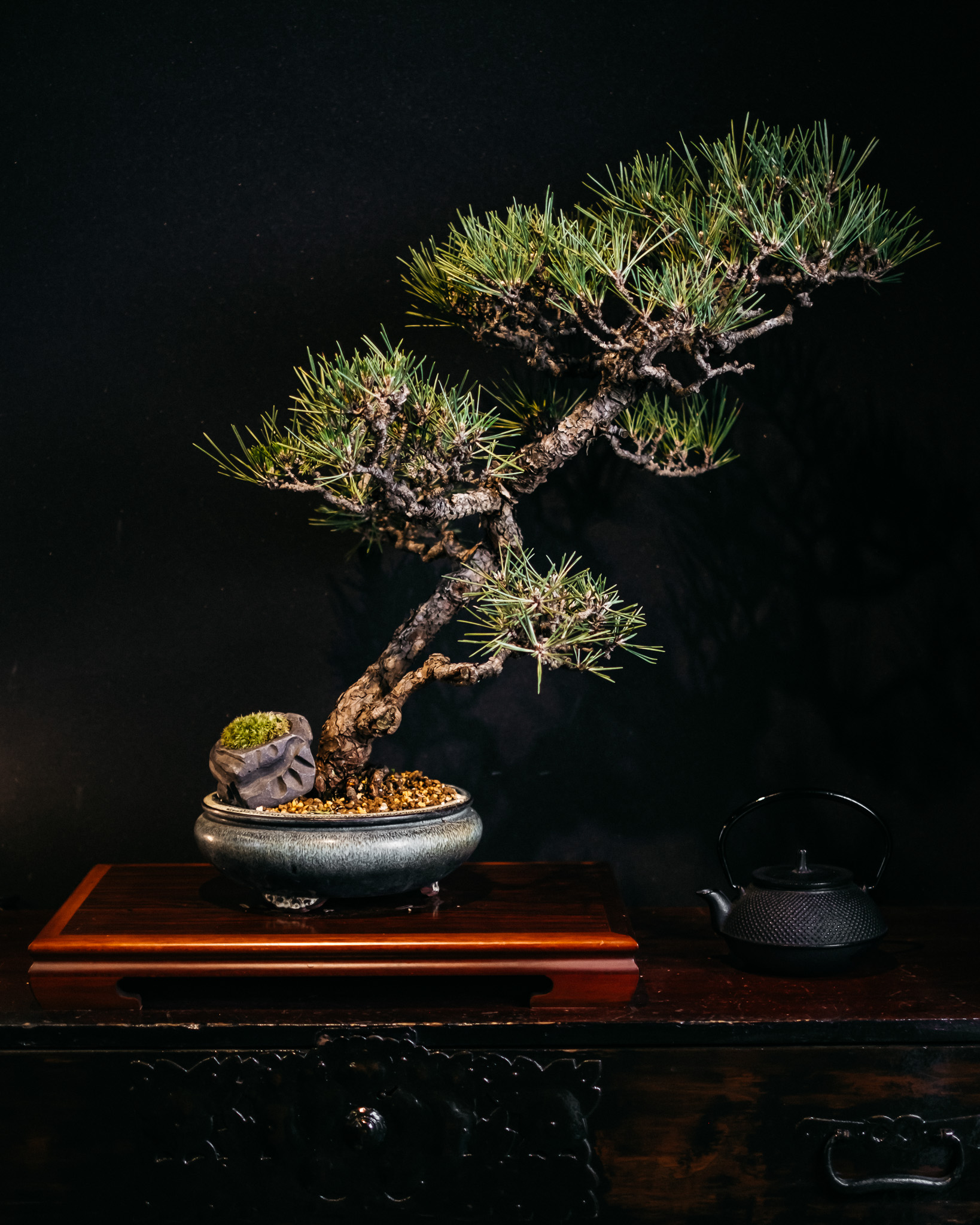 Images 【完全個室】創作和食居酒屋 季彩 七百家（なおや）研究学園駅前
