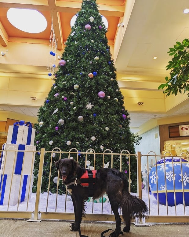 Images Kaitlyn Raymond - State Farm Insurance Agent