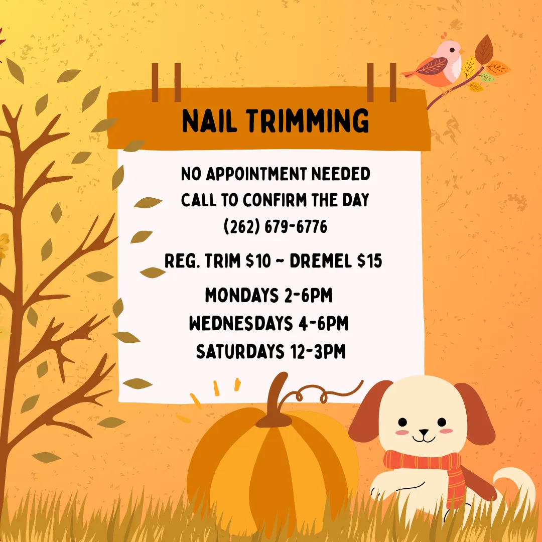 Image of Local Pet Event November Nail Trims Nearby