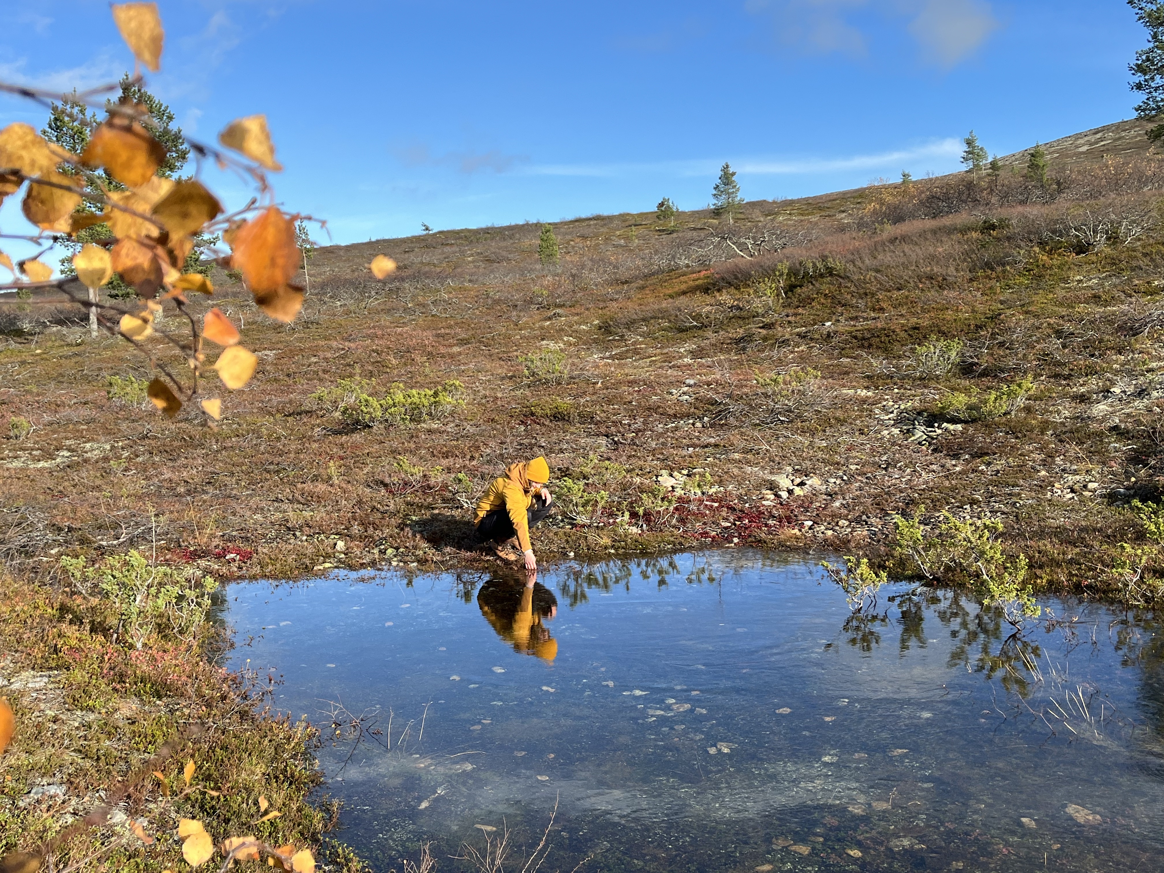 Images Hotelli Ivalo