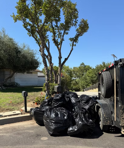 Trashpro Junk Removal -  Junk removal