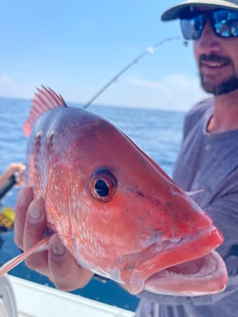 Images Eastern Tailz Outfitters