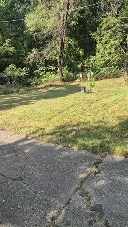 Images Brown's Tree Service