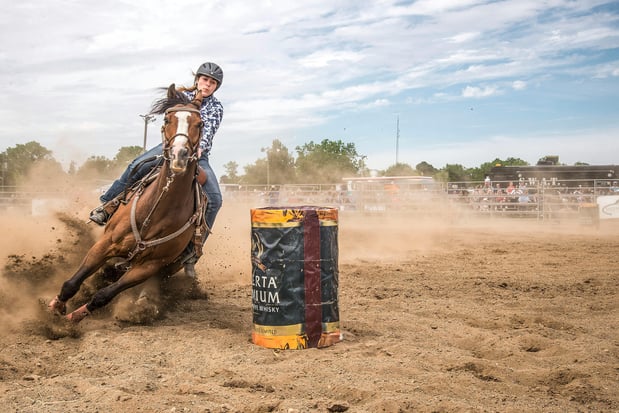 Images Equine Coach, LLC