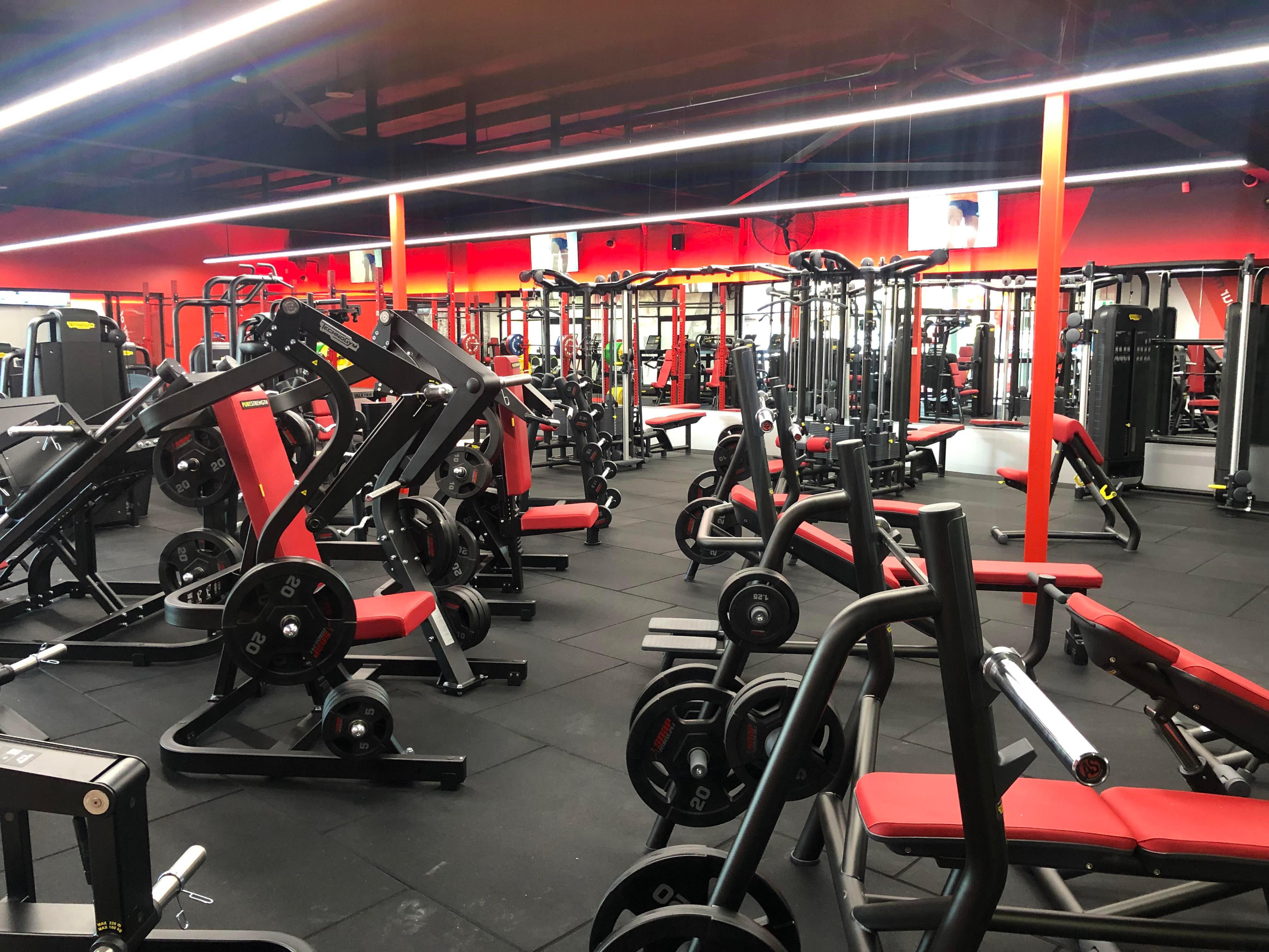 Large Weights Floor Snap Fitness 24/7 Mayfield Mayfield 0422 426 596