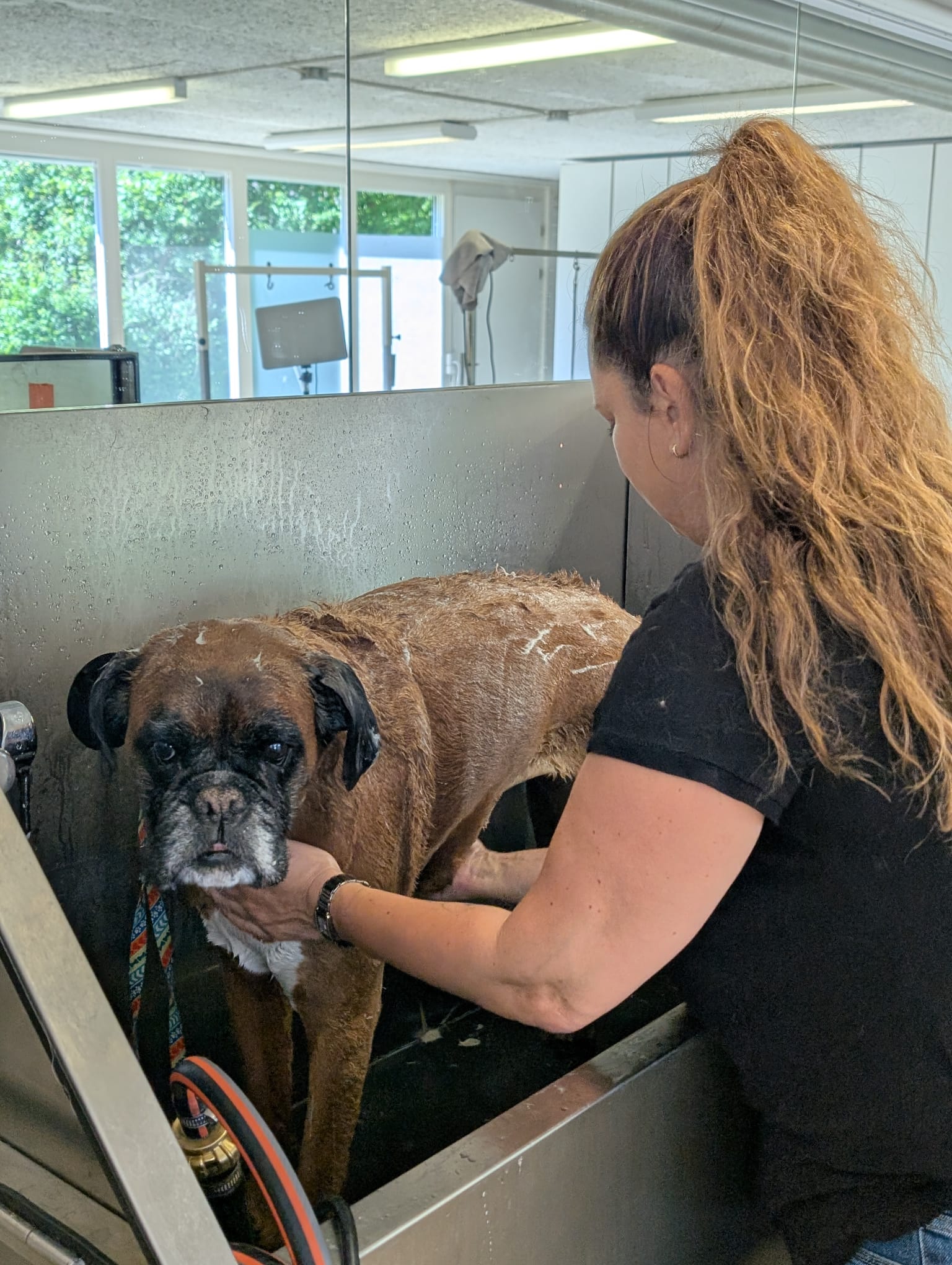 Bilder HUND UM by Sabrina Vogt