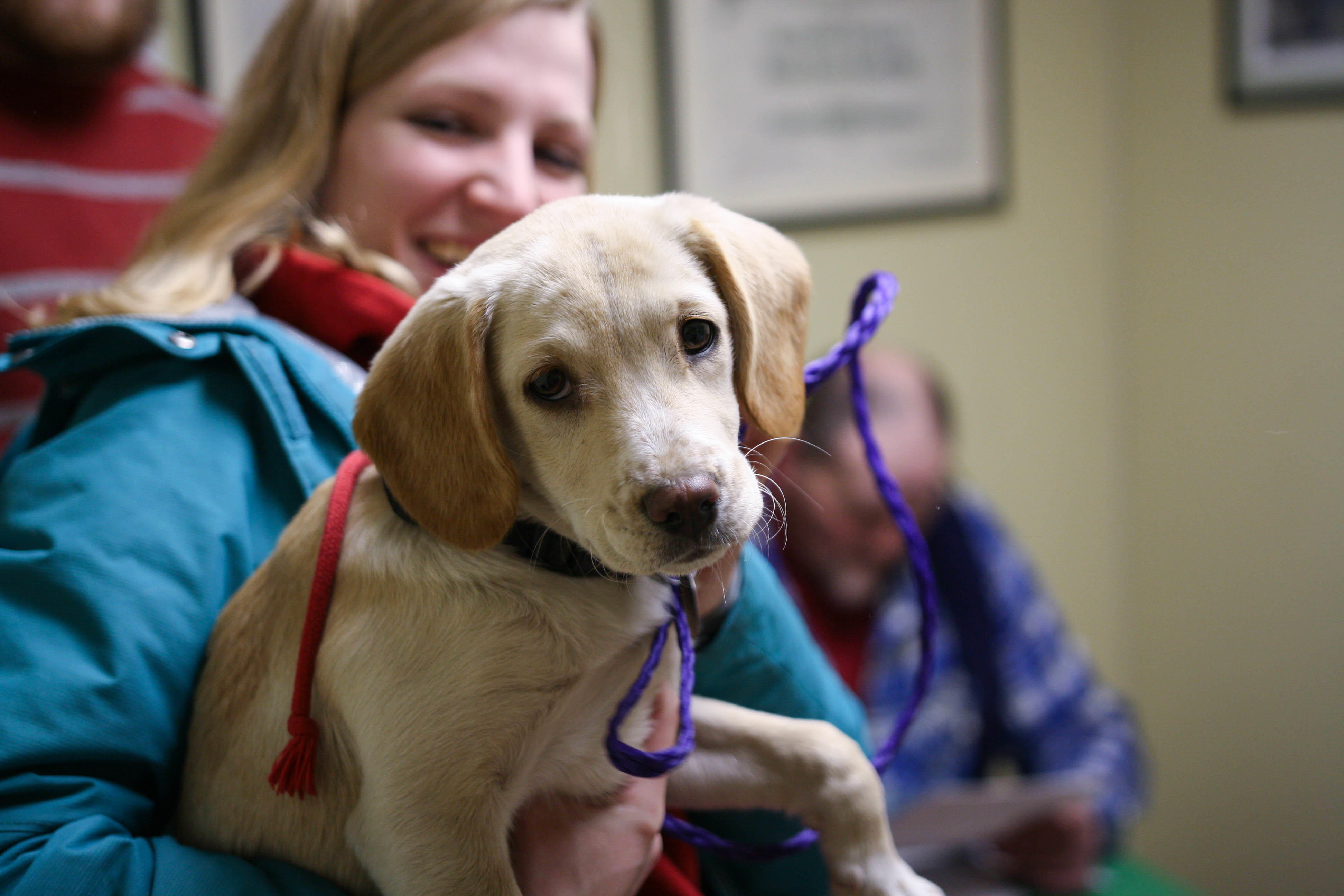 The clinical team at East Hampton Veterinary Group is trained to care for your pet during each stage of life.