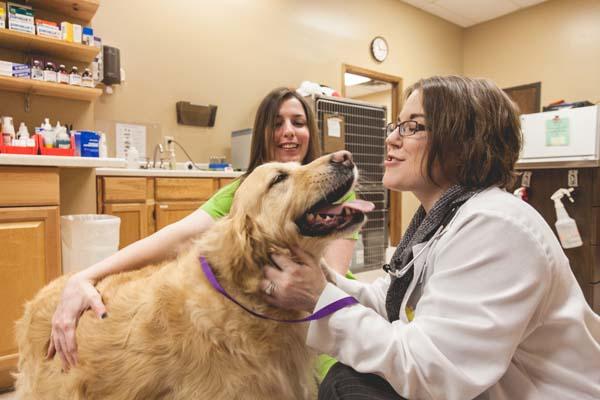 Happy animals mean happy people. Heritage Animal Hospitals full service veterinarian clinic provides a variety of services including grooming, surgical procedures, dental care and more.