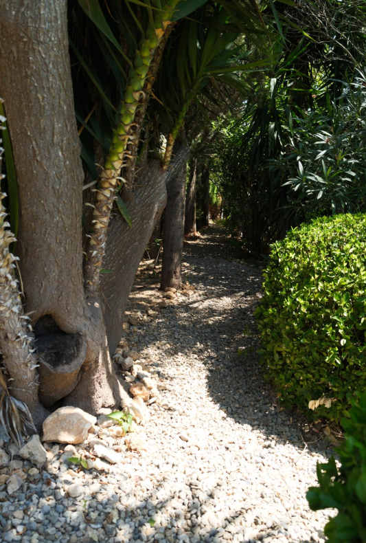 Images Villa Rosa Sitges