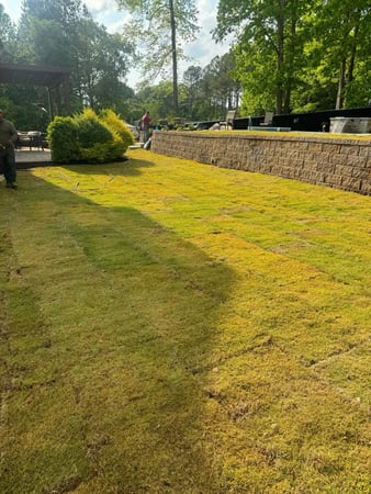 Images Lopez Tree Services and Landscaping