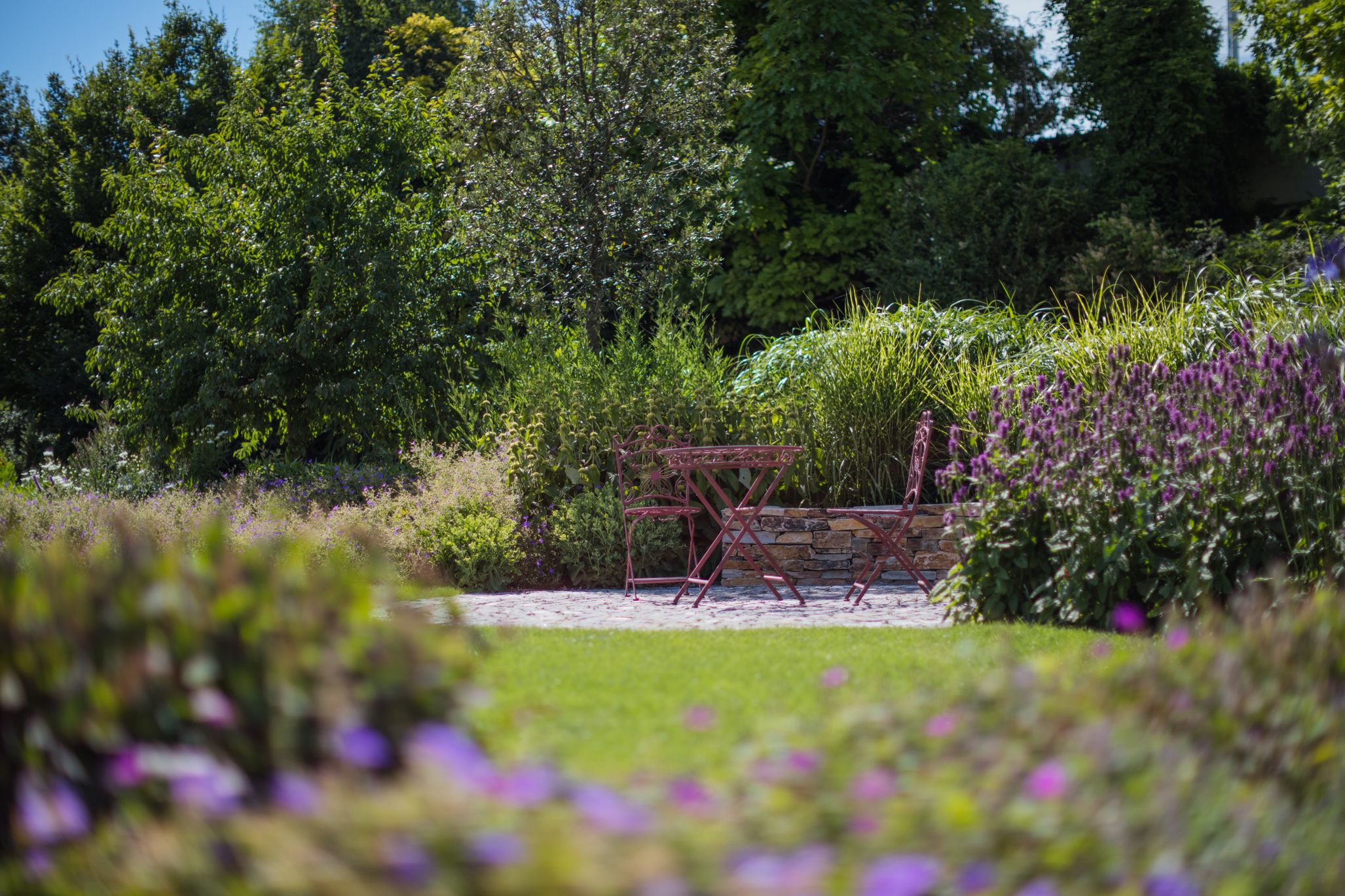 Bilder Taïga, Inspiration Nature SA