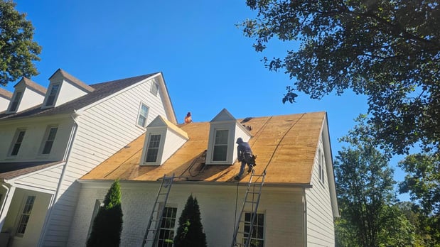 Images D and B Services