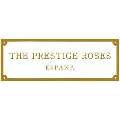 The Prestige Roses Madrid Alcobendas