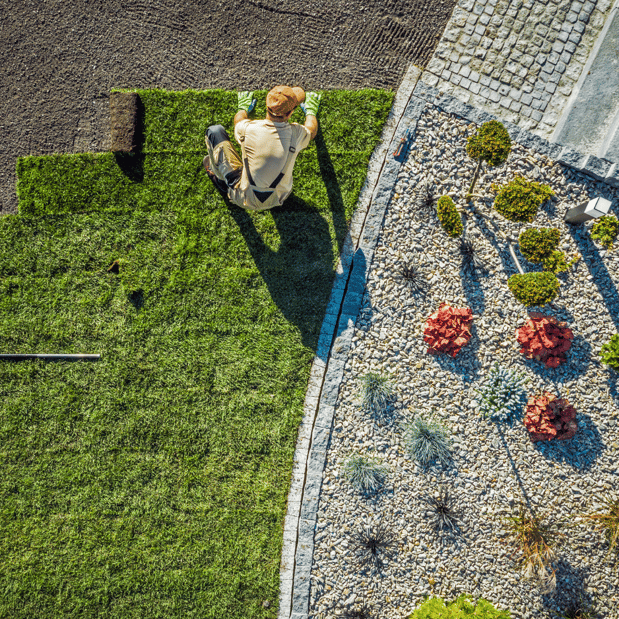 Images Lopez Tree Services and Landscaping
