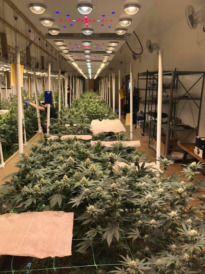 Native Harvest Dispensary Photo