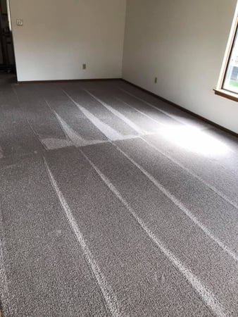 Images Cleaning by Titan