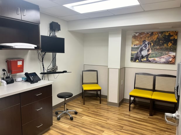 Images VCA Castle Shannon Animal Hospital
