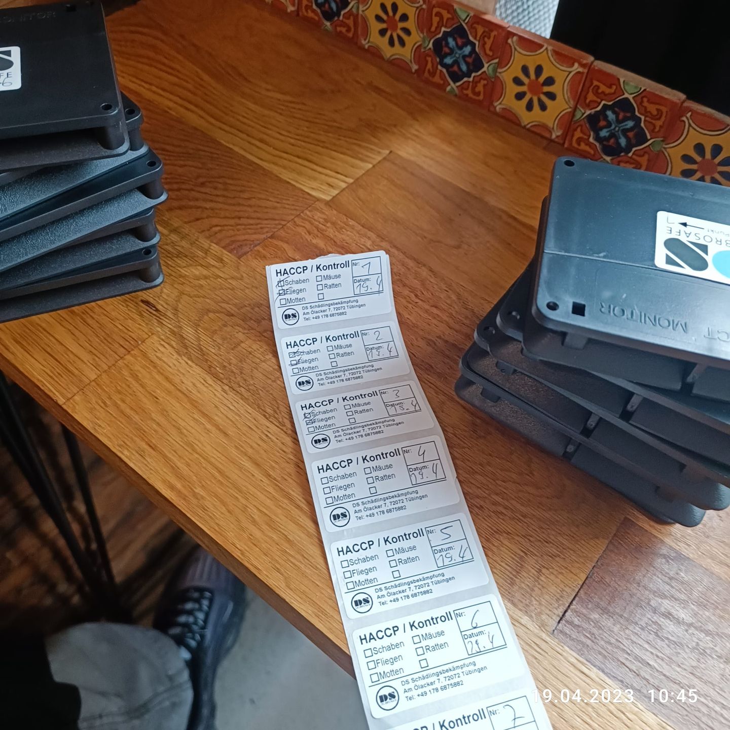 DS Schädlingsbekämpfung (Fachbetrieb), Am Ölacker 7 in Tübingen