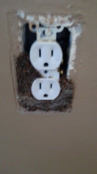 Images Pest Terminators Inc.