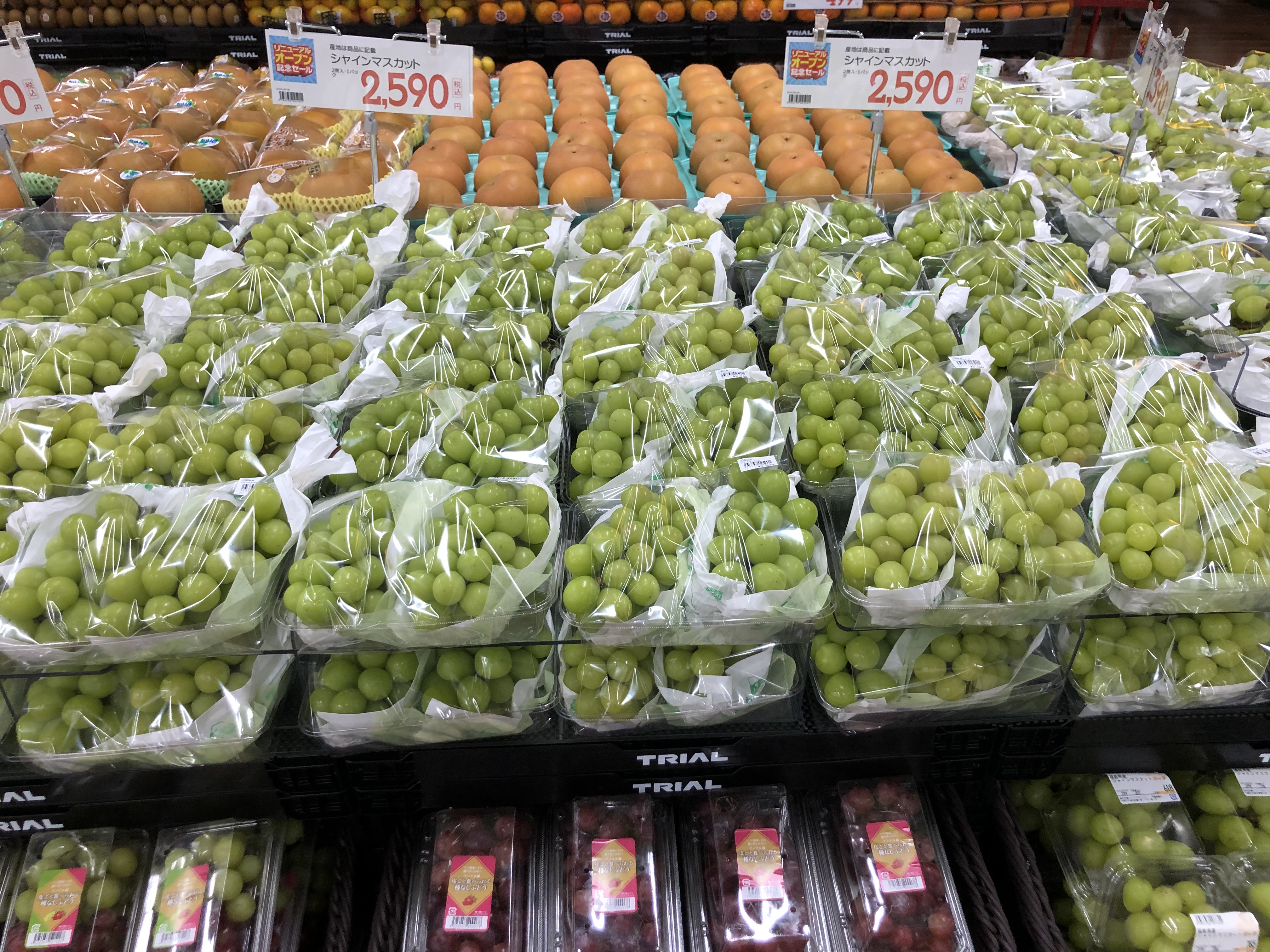 Images スーパーセンタートライアル手稲星置店