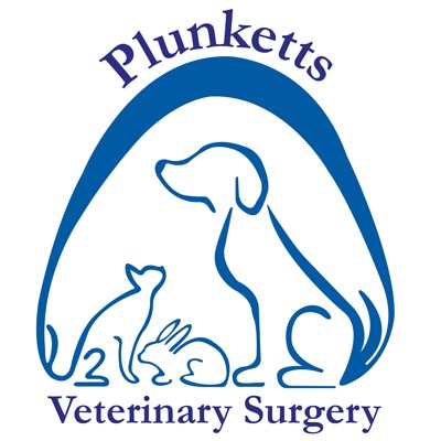 Plunketts Veterinary Surgery - Ramsgate Ramsgate 01843 591899