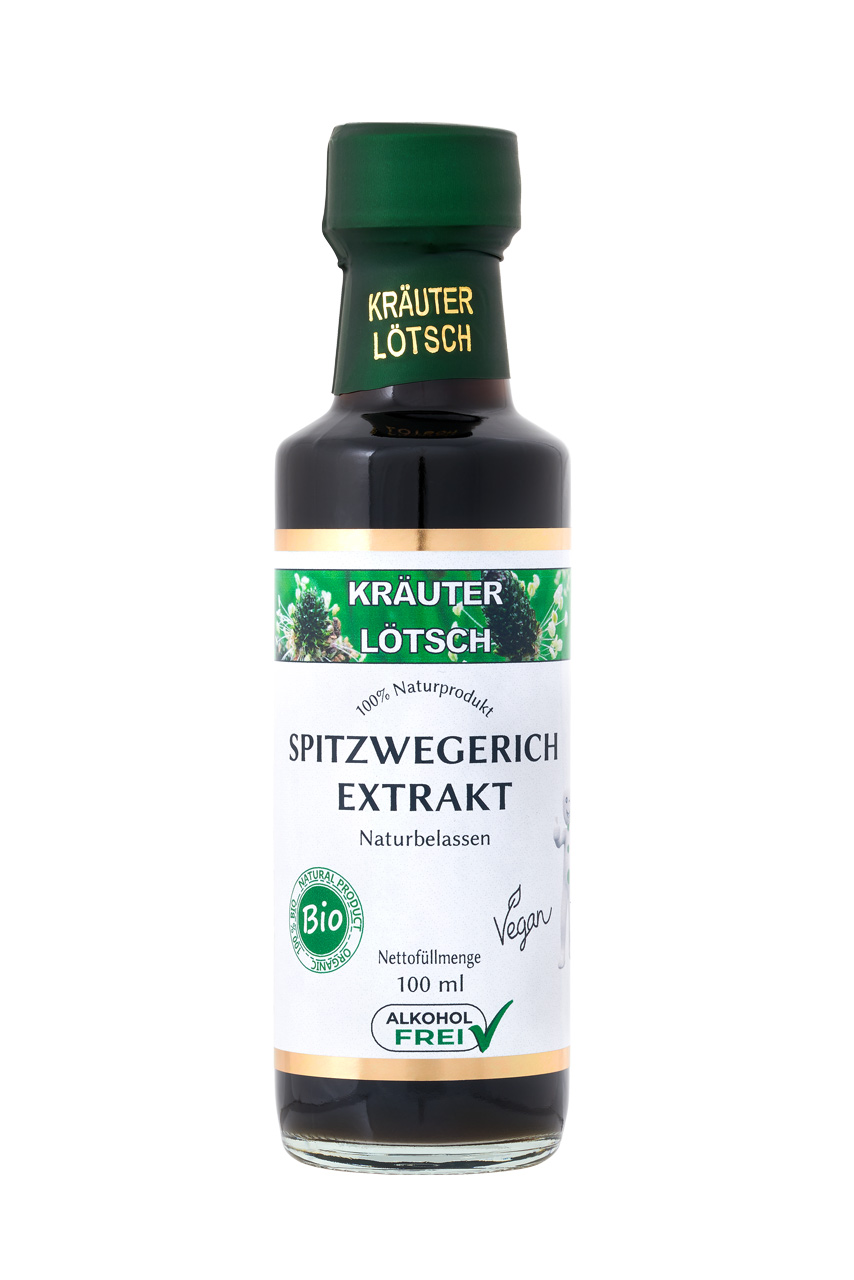 Bilder Kräuter Lötsch