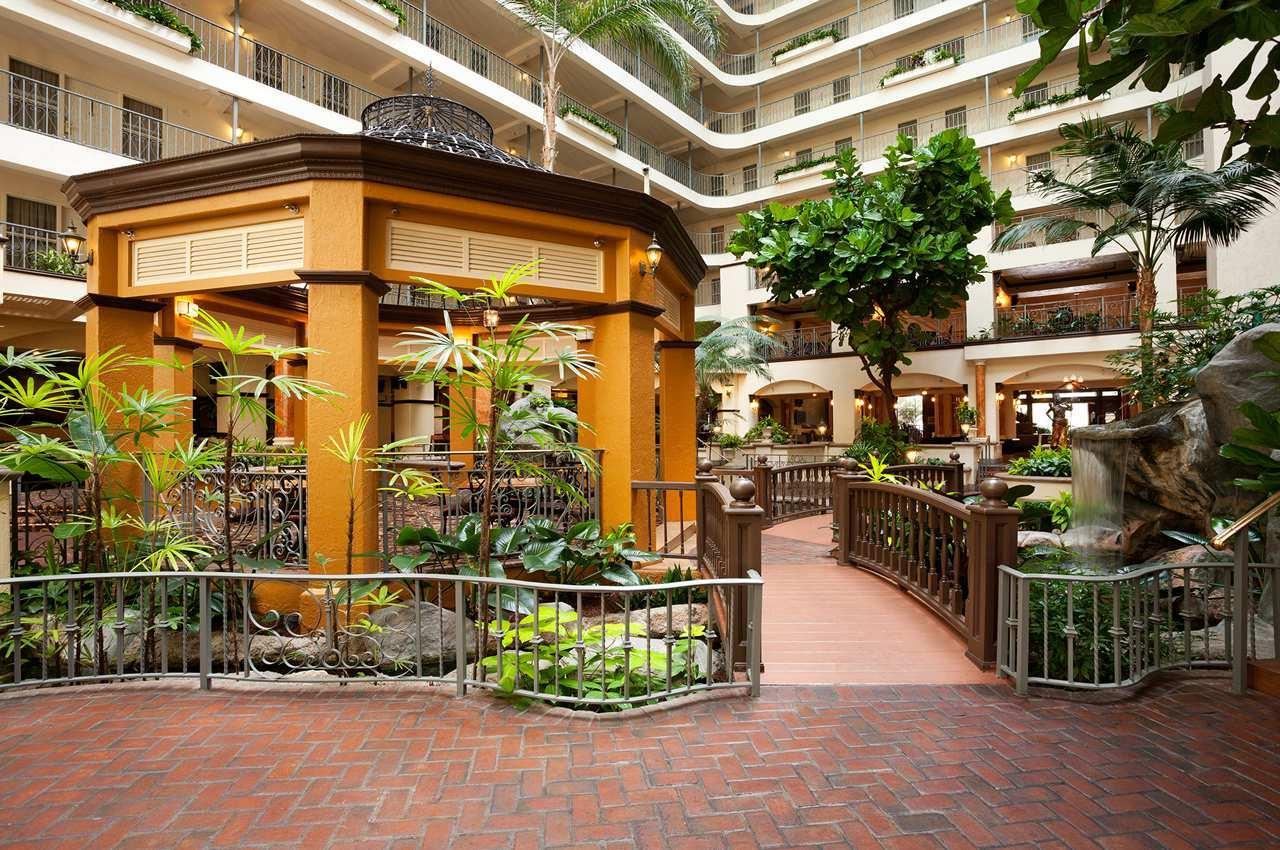 Embassy suites coupon codes discount